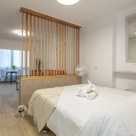 Acogedor Estudio Centrico * Πουέρτο Ντε Λα Κρουζ